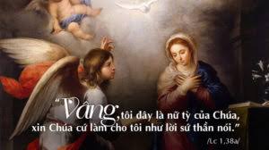 Thứ Tư Tuần XXVII Mùa Thường Niên Năm chẵn - ĐỨC MẸ MÂN CÔI
